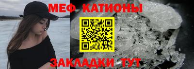 стаф Кингисепп