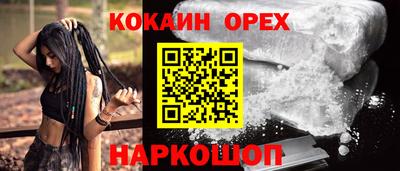 стаф Кингисепп