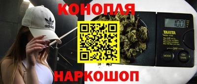 стаф Кингисепп