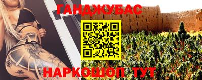 стаф Кингисепп