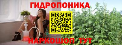 хмурый Кимры