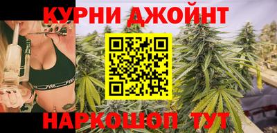 стаф Кингисепп