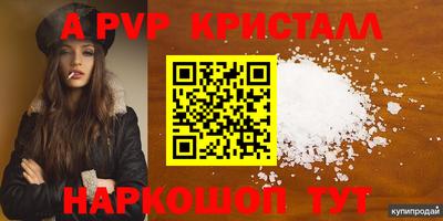 стаф Кингисепп